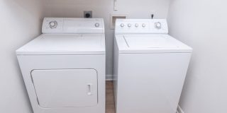 Whitney at The Heights Gallery 30