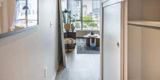 Nova Gallery 20