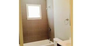 39 Beech Glen St #2B Boston MA 02119 Gallery 9