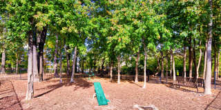 Solace Apartments Gallery 16