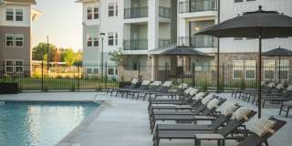 Star Crest Ranch Gallery 4