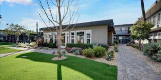 Tierra Palms Gallery 87