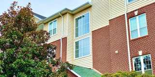 1580 SPRING GATE Drive unit: 4213 Gallery 1