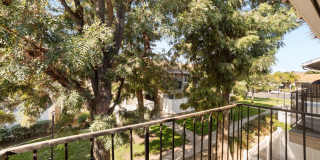 Asante Villas Gallery 17