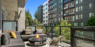 Ion Town Center Gallery 32