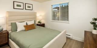 ReNew Dash Point Gallery 17