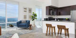 Vantage Pointe Gallery 35