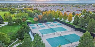 Palomino Park Resort Gallery 12