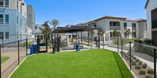 Homecoming at The Resort Apartments Gallery 66