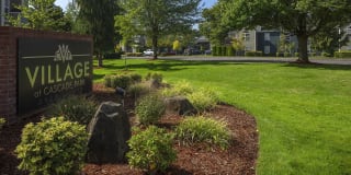Village at Cascade Park Apartments Village at Cascade Park Apartments Gallery 26