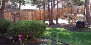 1133 NE Hidden Valley Drive # A-D Gallery 1