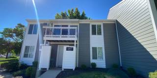 24 Flats Gallery 17