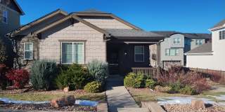 3775 Cadence Drive Gallery 1