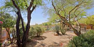 7155 E NIGHT GLOW Circle Gallery 49