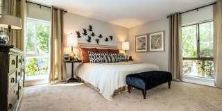 Avana Weymouth Gallery 7