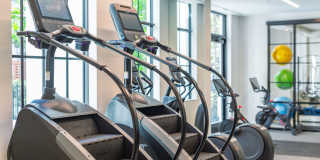 Riverstone Palm Beach Gallery 65