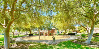 Beautiful Single-Level Custom Home with Serene Backyard Space in the Lovely Peppertree Park Community of Fallbrook! Gallery 79