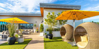 The Wylden Gallery 33