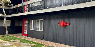 Raleigh Raleigh Gallery 6