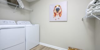 St. Andrews Reserve Gallery 55