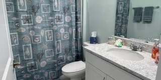 261 GYPSY PALACE Lane Gallery 24