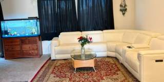 13175 Sierra Blanca Way Gallery 7