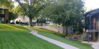 Orchard Gardens  (OG) Gallery 20