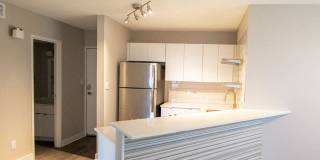 The Scott at East Village Apartments Gallery 47