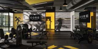 Core Link at Douglas Gallery 13