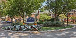 Eagle Rock Gallery 41