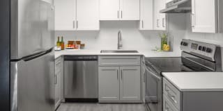 Avana Evergreen Gallery 13