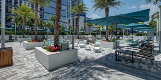 Novo Las Olas Gallery 30