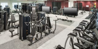 Gatsby on Ross Gallery 21