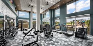 Roadrunner on McDowell Gallery 21