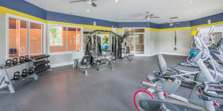 Aventura RTP Gallery 22