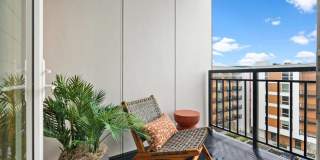 Cru at Willows Gallery 14