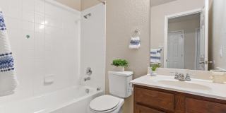 706 Scarlet Ibis Gallery 30