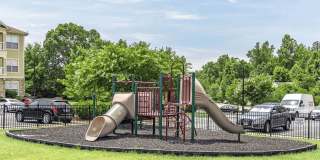 Greystone at Widewaters Gallery 24