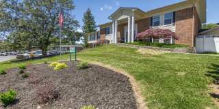 Allandale Falls Gallery 18