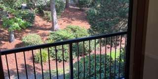 Newly renovated 2 bed x 1 bath on top floor in Kirkland! Gallery 10