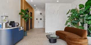 Treehouse Gallery 20