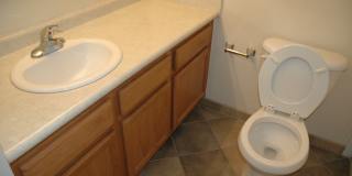 Available Fall 2026! 3 Bed/2 Bath House Right off of NW 34th St. Close to UF Gallery 11