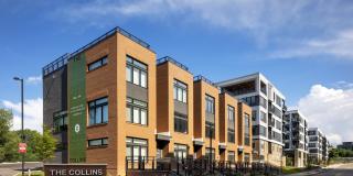 The Collins The Collins Gallery 5