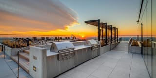 The Chestnut Gallery 29