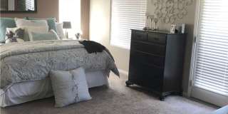 6582 Gertrude Court Gallery 15