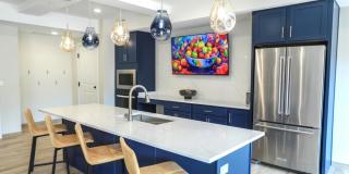 Arris Duluth Gallery 13