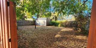 43 Shoreland Terrace Gallery 21