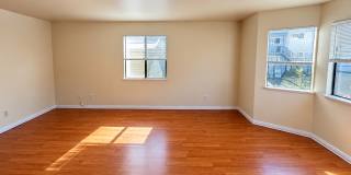 3146 Gallery 1