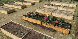 Room in 2 Bedroom Home at New Bern Ave Gallery 22