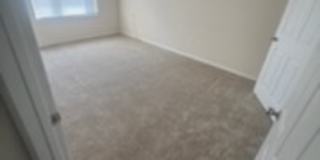 Promenade At Tampa Palms Gallery 24